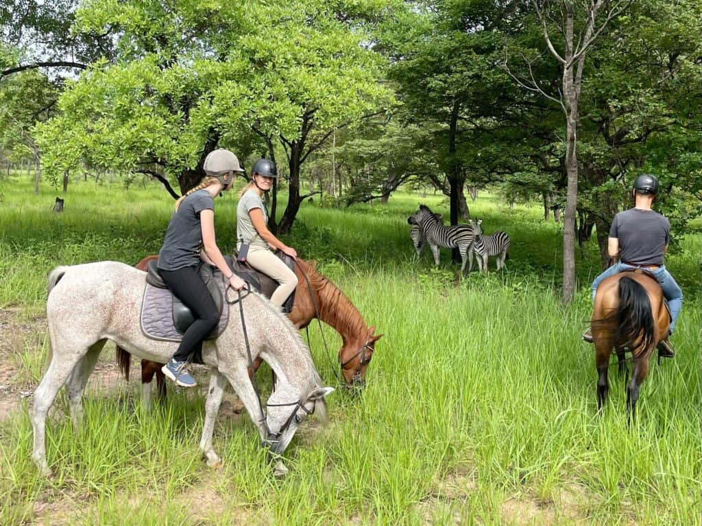 Silent Mindfulness retreat 4