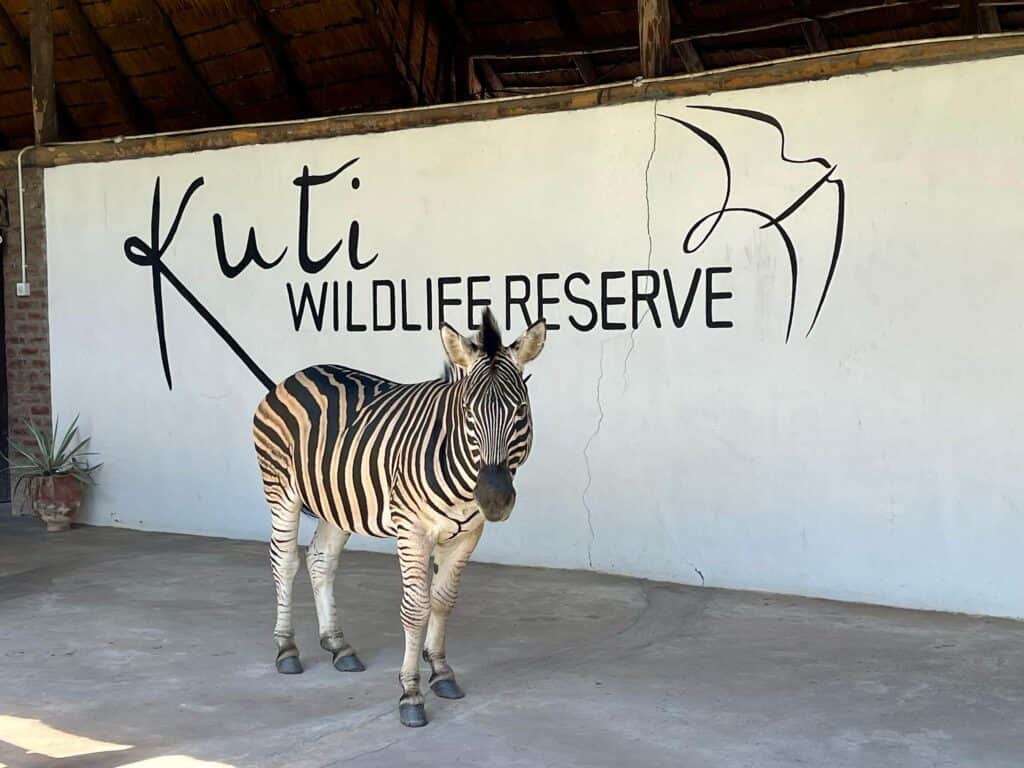 Silent Mindfulness retreat 8