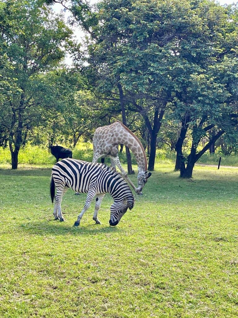 Silent Mindfulness retreat