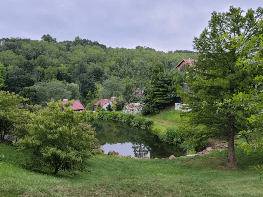 Just For Today Reiki With Rebecca 2