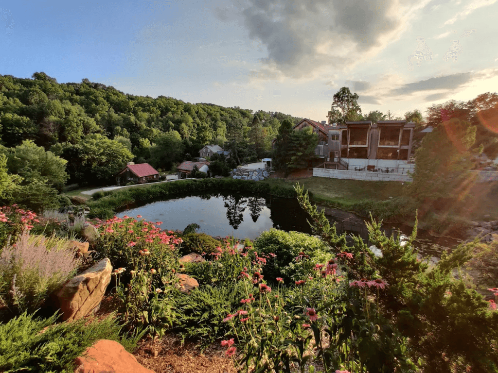 Just For Today Reiki With Rebecca