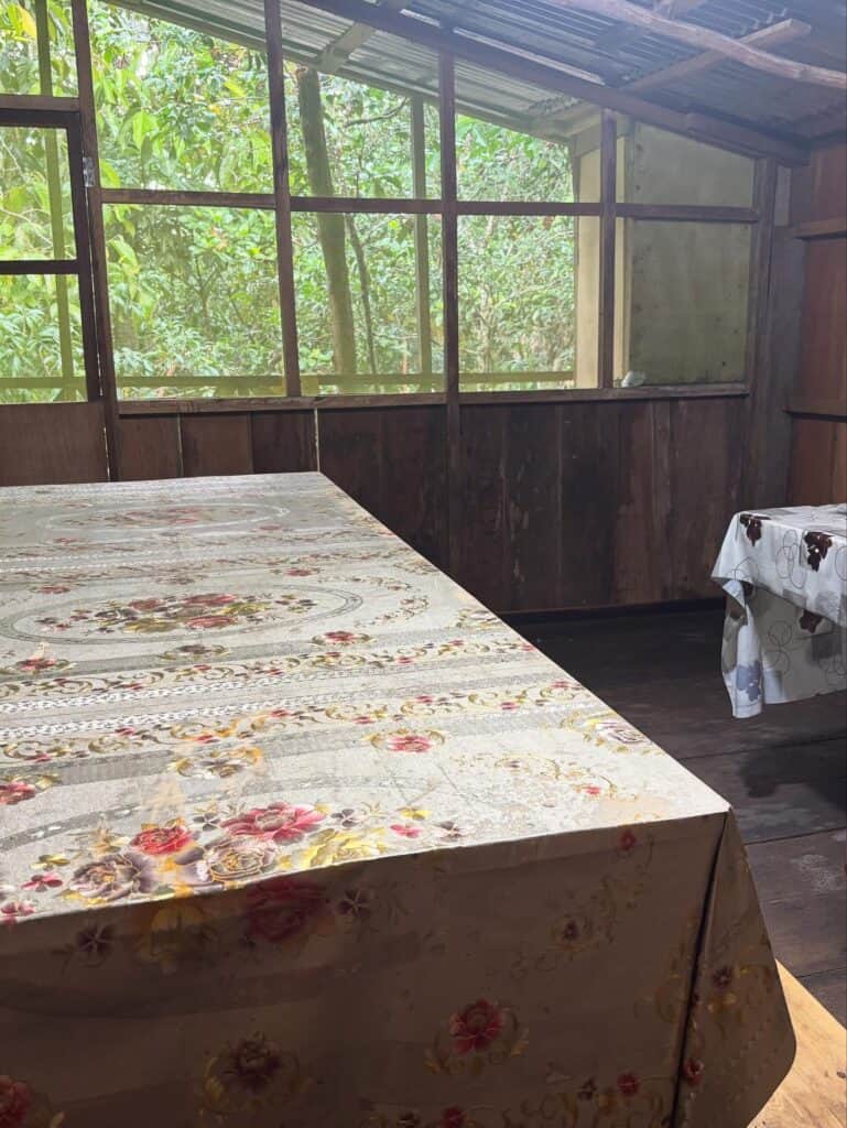 Spirit of the Jungle Retreats 6