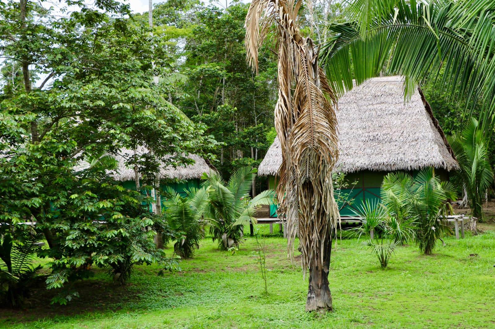Ani Shinan Shipibo Ayahuasca Retreat 2