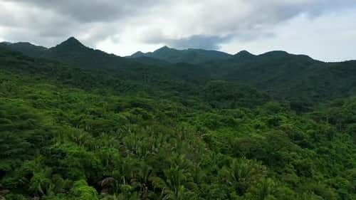 Ibohuasca wellness center 8