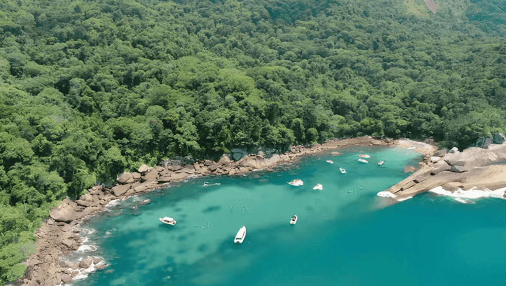 Brazil Jungle Trek: Ilha Grande 5