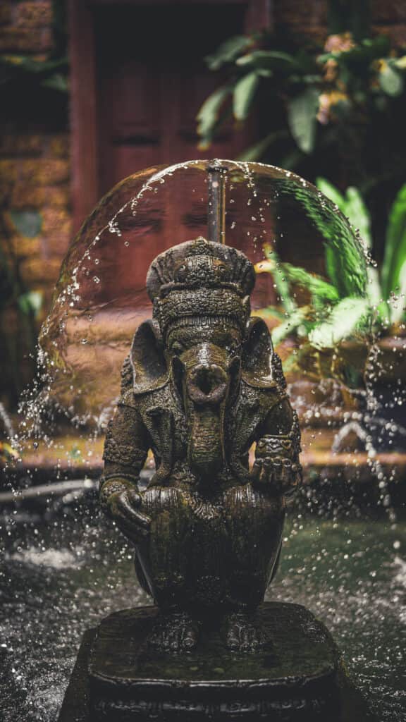 Ayuthantra Ayurveda & Wellness 2