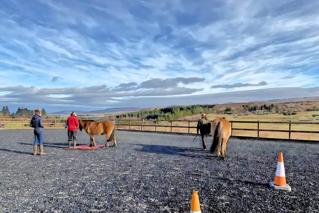 Skye Equine Retreats 6