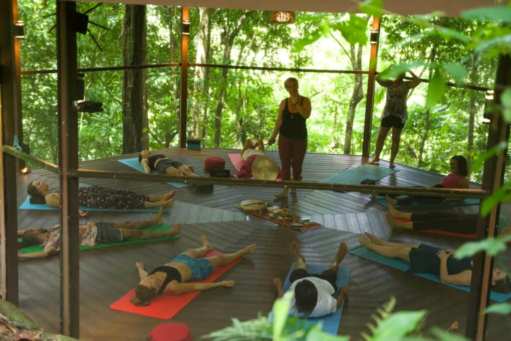 Soul Root Collective 8