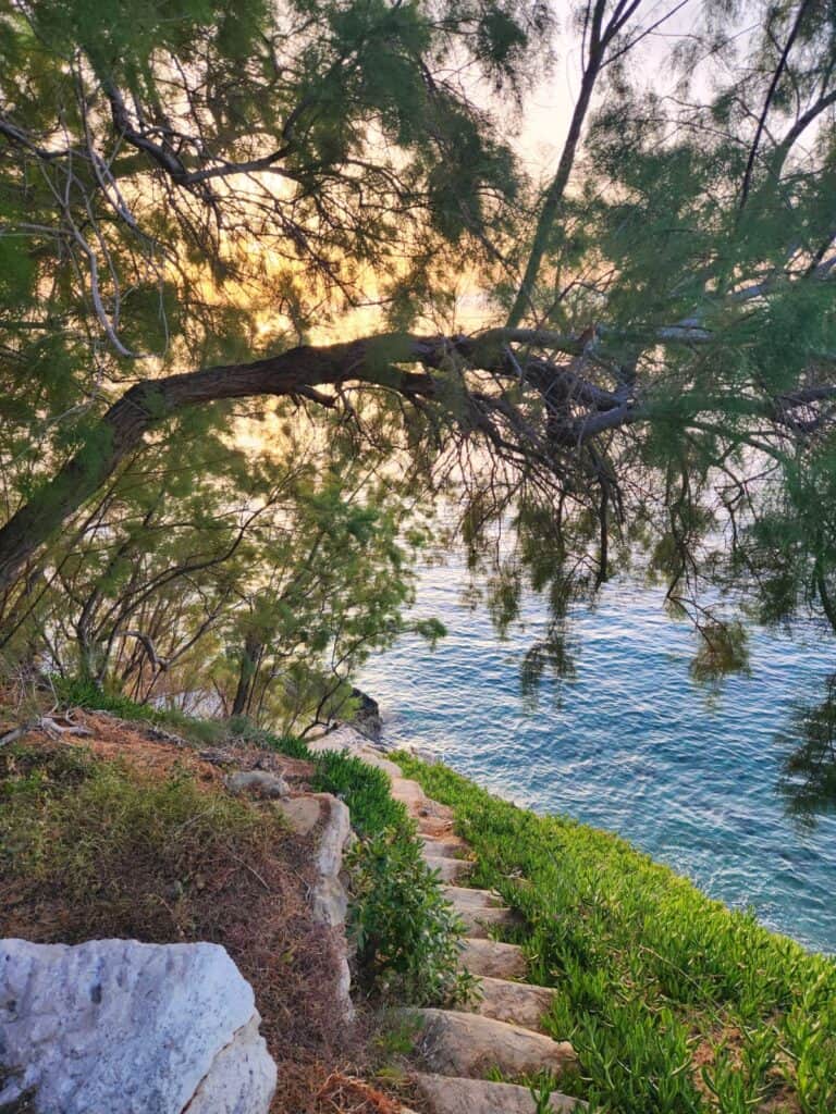 The Quiet Edge Retreat 1