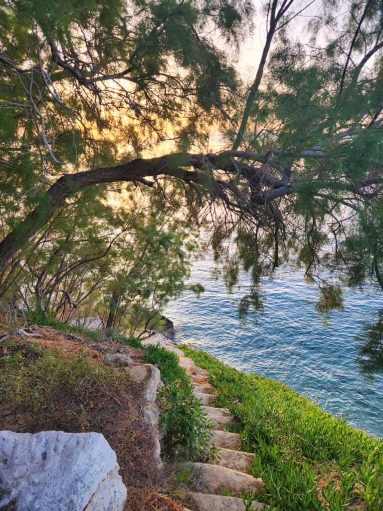 The Quiet Edge Retreat