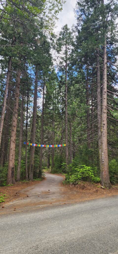 The Soul Attendant 4