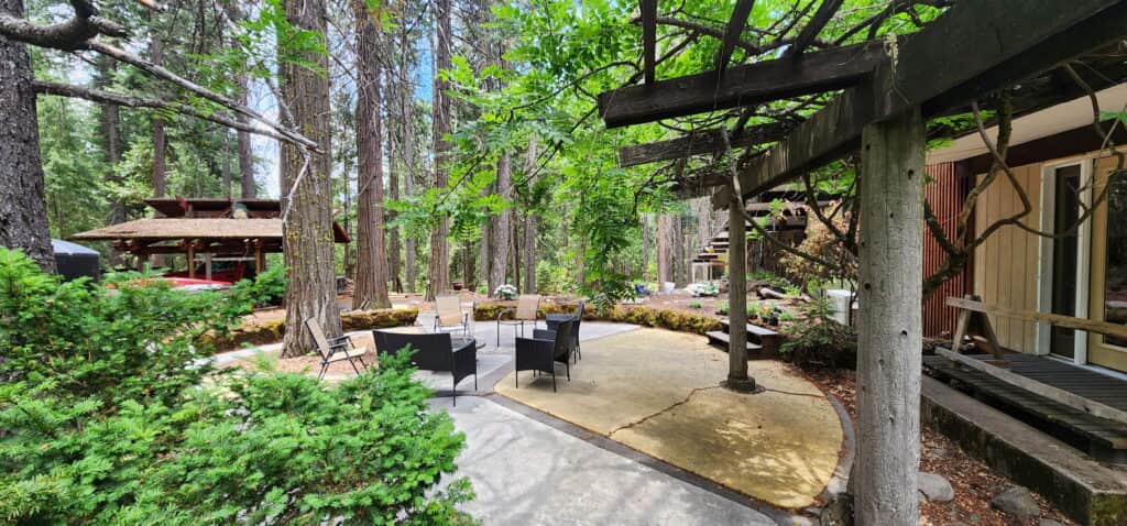 The Soul Attendant 1