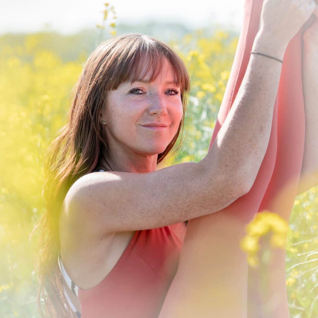 Vistara Embodiment 2