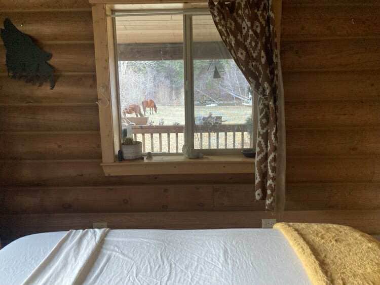 Wild Pine Equine Sanctuary 3