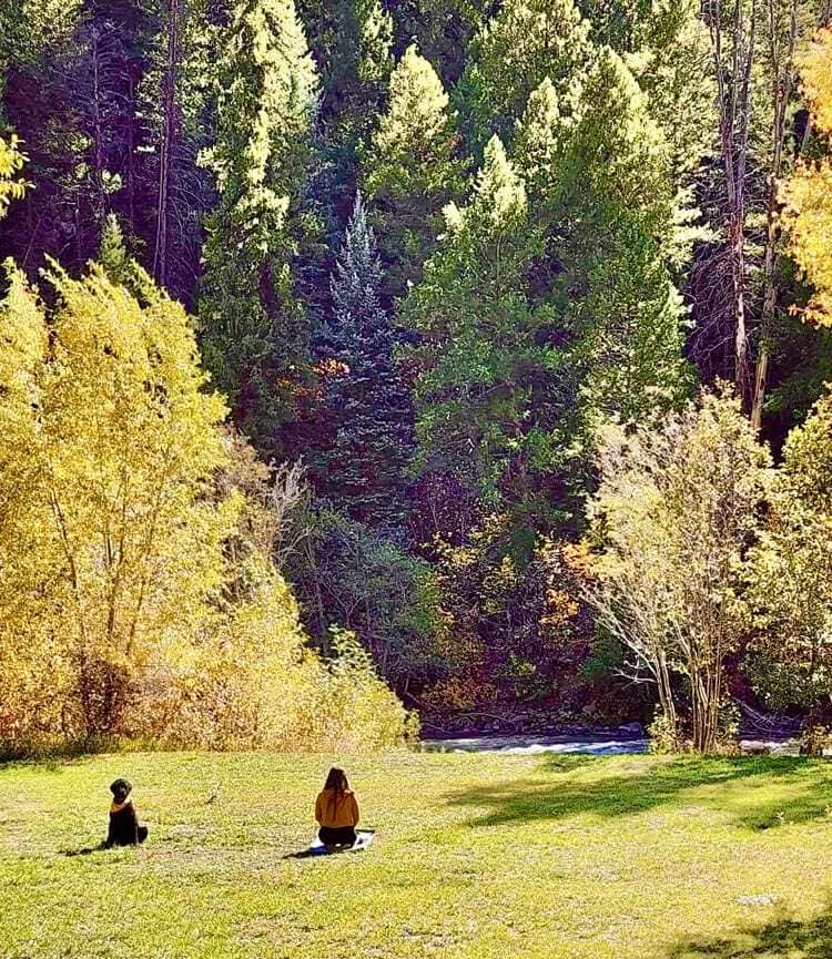 Wild Pine Equine Sanctuary 4