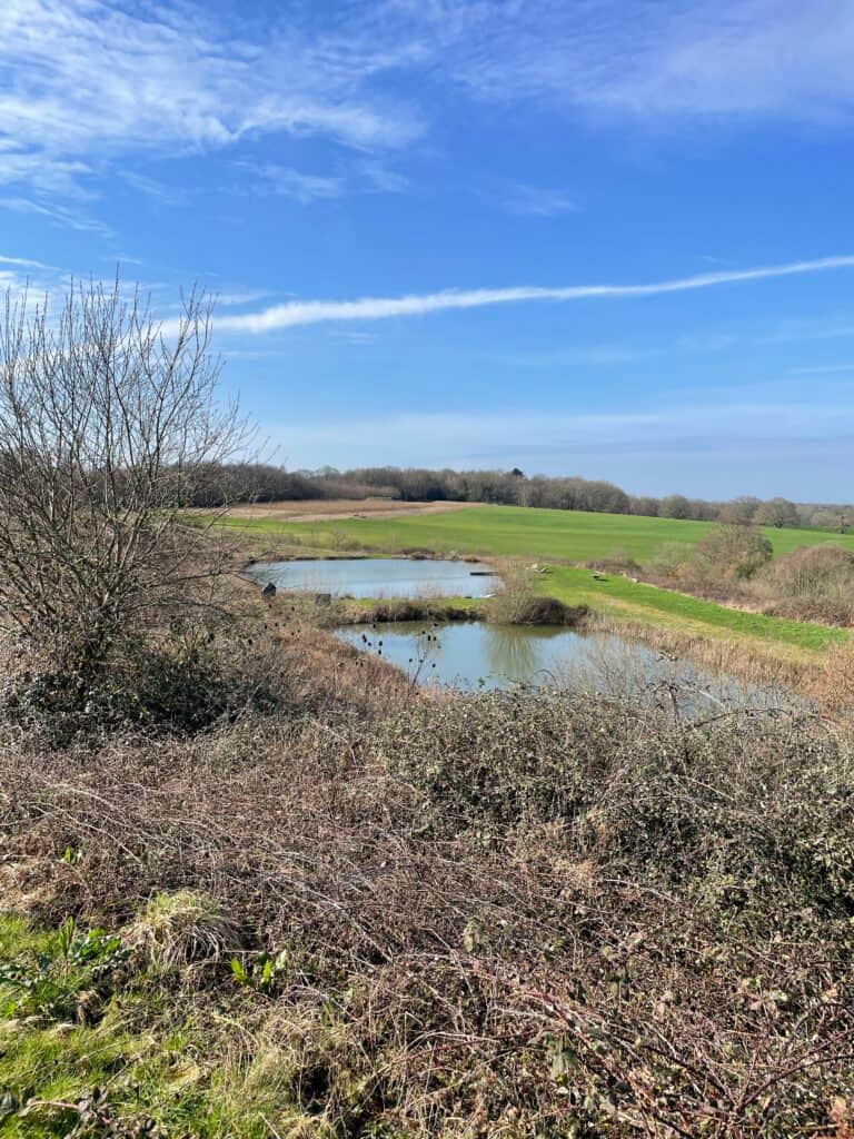 Yogilu Yoga & Wellness 6