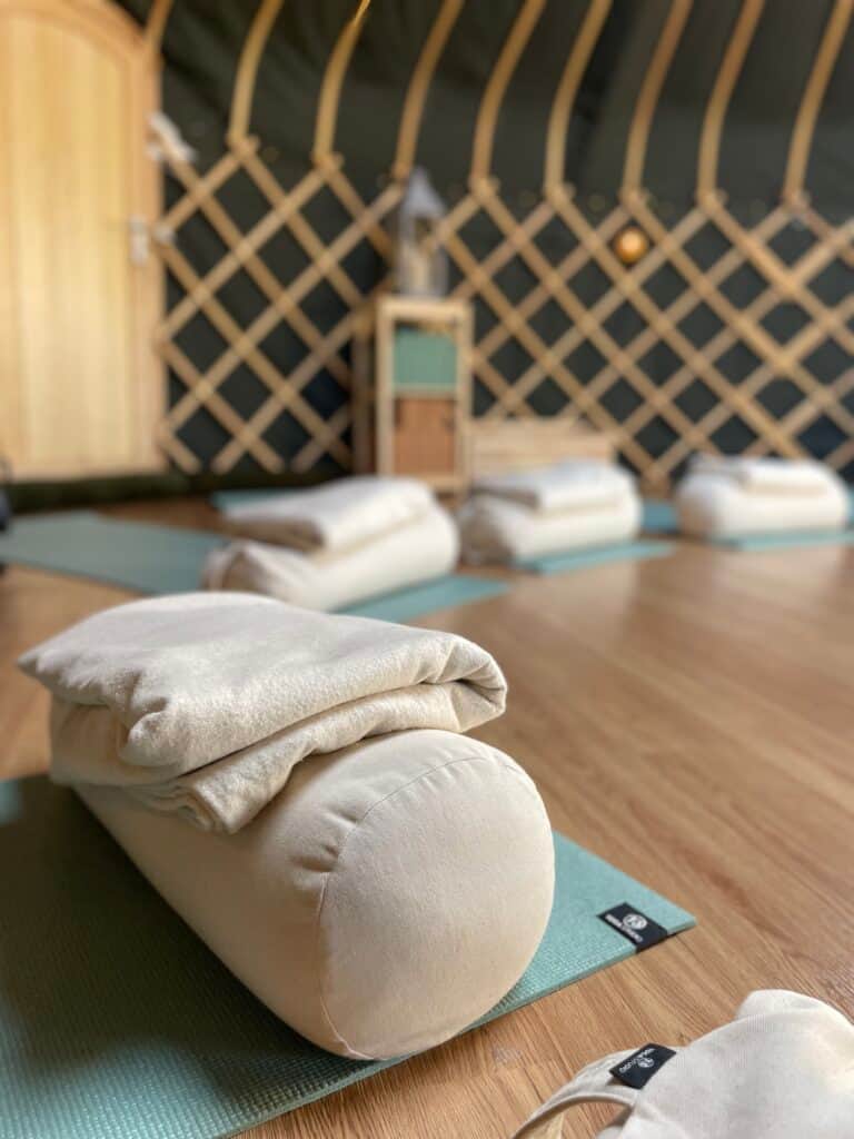 Yogilu Yoga & Wellness 2