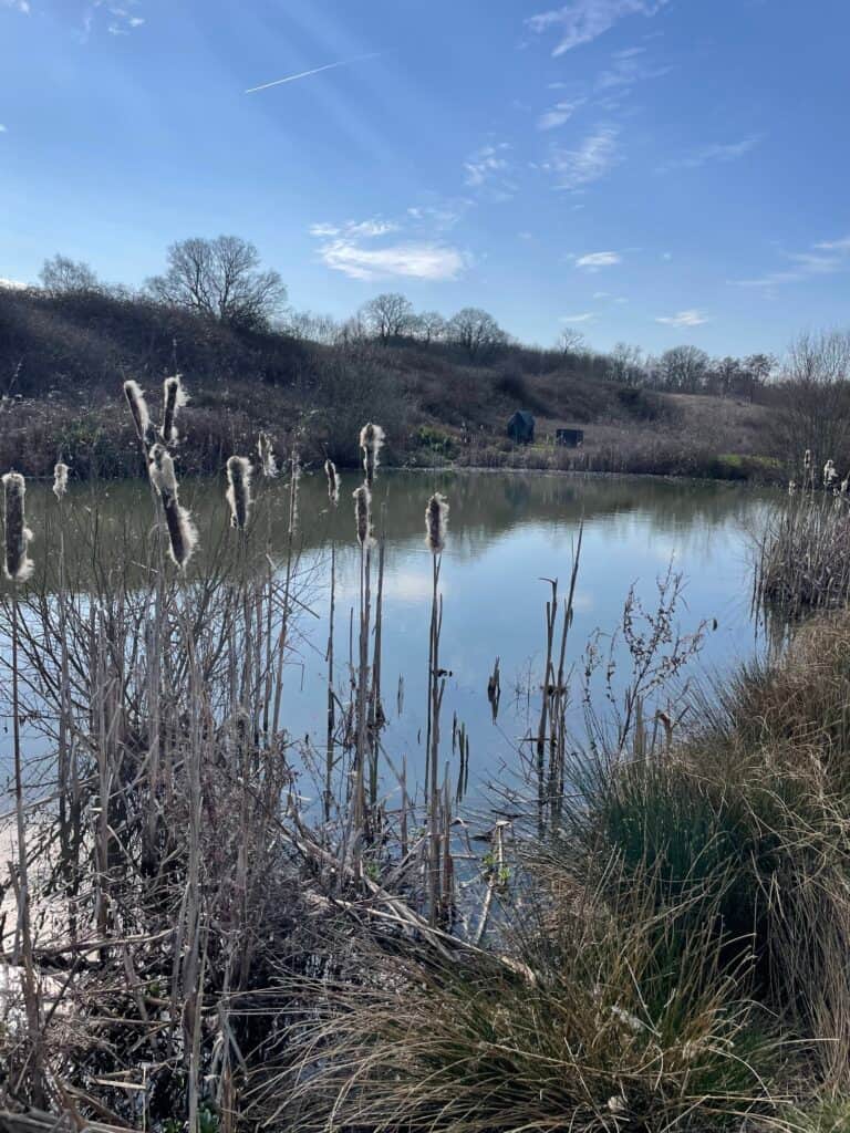 Yogilu Yoga & Wellness 3