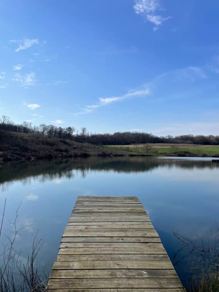 Yogilu Yoga & Wellness 4